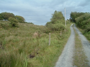 Higgins Road 2009